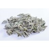 Marrube blanc plante