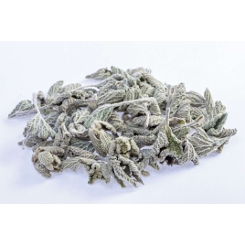 Marrube blanc plante