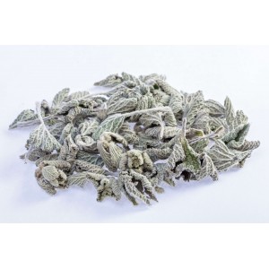 Marrube blanc plante