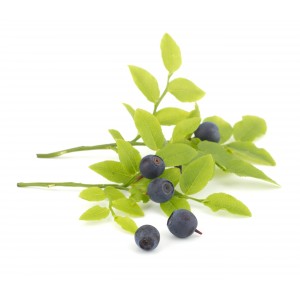 Myrtille gélules de poudre de fruit 235mg