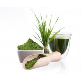 Spiruline poudre gélules 250mg