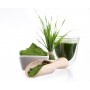 Spiruline gélules poudre 250mg