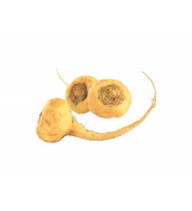 Maca extrait sec