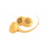 MACA Gélules concentrées