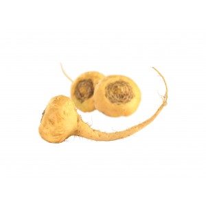 MACA BIO Gélules