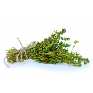 Thym commun à thymol HECT