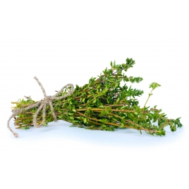 Thym gélules poudre 200mg