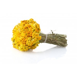 Helichryse Immortelle d'Italie BIO HECT