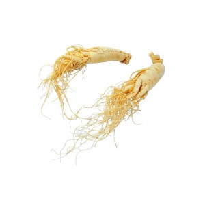 Eleuthérocoque racine poudre