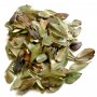 Busserole gélules feuille poudre totale 250mg