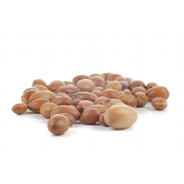 huile végétale d'Argan Bio 100 ml