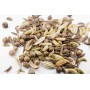 Cumin BIO fruit