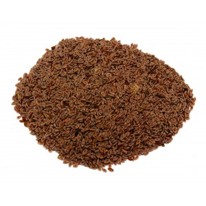 Psyllium graine