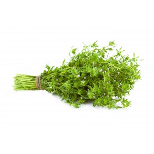 Serpolet BIO feuille