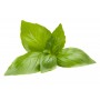 Basilic feuille poudre