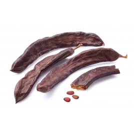 Caroube fruit poudre