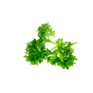 Cerfeuil feuille