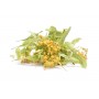 Tilleul BIO fleur & bractée