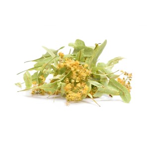 Tilleul fleur & bractée