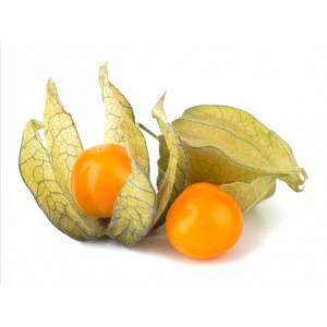 Alkekenge baie entière