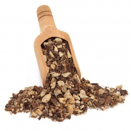 Angélique racine BIO