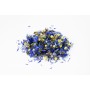 Bleuet fleur