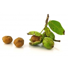 Brou de Noix verte poudre