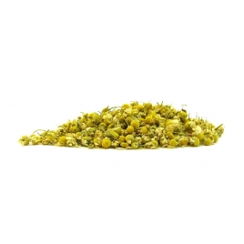 Camomille Matricaire fleur Bio