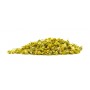 Camomille Matricaire BIO fleur