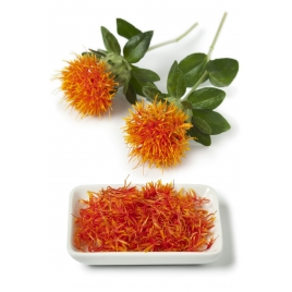 Carthame fleur