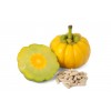 Garcinia gélules extrait sec 200mg