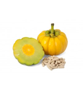 Garcinia gélules extrait sec 270mg