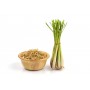 Citronnelle plante