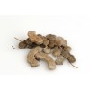 Desmodium poudre