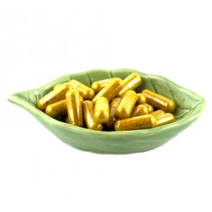 Desmodium gélules poudre 480mg