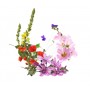 Fleurs Pectorales mélange pour tisane