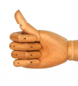 Articulations