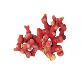 Lithothamne gélules poudre 330mg