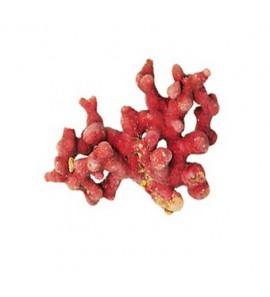 Lithothamne gélules poudre 330mg