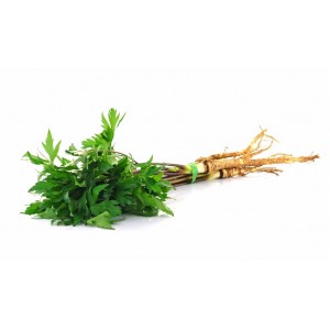 Livèche feuille poudre