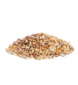 Malt d'orge radicelle