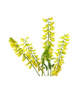 Melilot gélules poudre 200mg