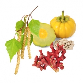 Minceur élimination