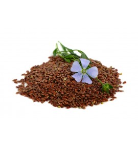 Lin BIO graine