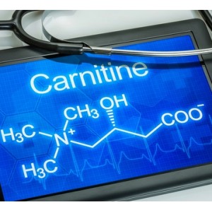 Carnitine 750mg gélule