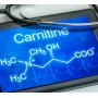 Carnitine 750mg gélule