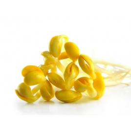 Soja Isoflavones 10mg Capsule