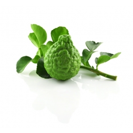 Bergamote BIO HECT