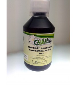 Gingembre racine Bio - Macérat aqueux