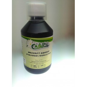 Olivier feuille bio . 